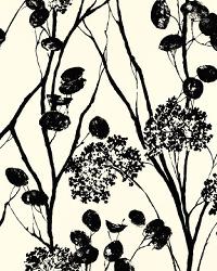 MOONPENNIES BLACK & IVORY by  Schumacher Wallpaper 