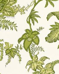 COCONUT GROVE LEAF by  Schumacher Wallpaper 