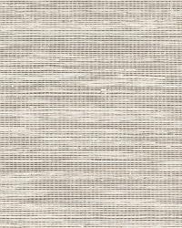 HARUKI SISAL SILVER by  Schumacher Wallpaper 