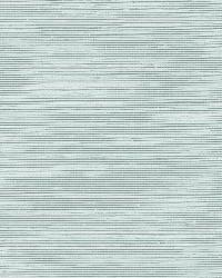 HARUKI SISAL WATER BLUE by  Schumacher Wallpaper 