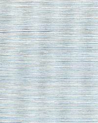 HAIKU SISAL CERULEAN by  Schumacher Wallpaper 