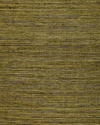 NINGBO SISAL OLIVE by  Schumacher Wallpaper 