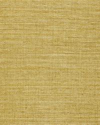 OSAN SISAL LIME by  Schumacher Wallpaper 