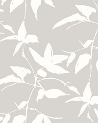 Persimmon Leaf Wallpaper Grey by   