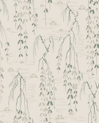 Willow Branches Wallpaper Green by   