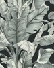 York Wallcovering Banana Leaf Wallpaper Black/White