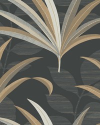 El Morocco Palm Wallpaper Blacks by   