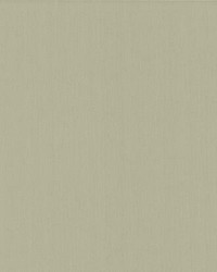 Radiant Juniper Wallpaper Tan by   