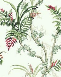 Enchanted Fern Wallpaper Green Red by   