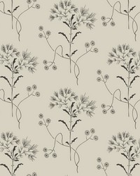 Wildflower  White Gatherings (Taupe) by   