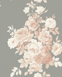 Tea Rose  Blush Grey by   