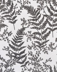 Forest Fern  Grey by   