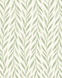 Willow Wallpaper Green by   