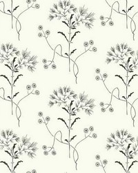 Magnolia Home Wildflower Peel and Stick Wallpaper Black White by   