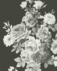 Magnolia Home Tea Rose Peel and Stick Wallpaper Black White by   