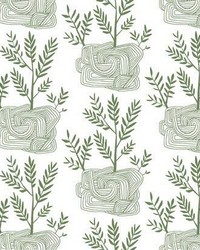 Seedlings Peel and Stick Wallpaper Green by  York Wallcovering 