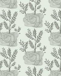 Seedlings Peel and Stick Wallpaper Gray by  York Wallcovering 