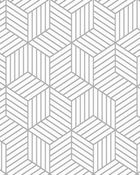 STRIPPED HEXAGON PEEL  STICK WALLPAPER by  Roommates 