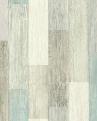 COASTAL WEATHERED PLANK PEEL  STICK WALLPAPER by  Roommates 