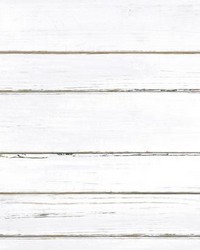 SHIPLAP PEEL  STICK WALLPAPER by  Roommates 