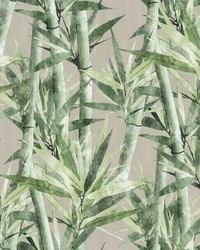 LUCKY BAMBOO PEEL  STICK WALLPAPER by  Roommates 