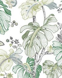 BOHO PALM PEEL  STICK WALLPAPER by  Roommates 