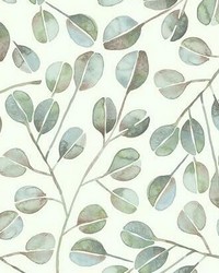 CAT COQUILLETTE EUCALYPTUS PEEL  STICK WALLPAPER by  Roommates 