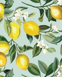 LEMON ZEST PEEL  STICK WALLPAPER by  Roommates 