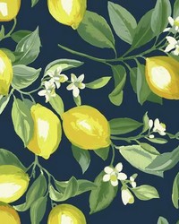 LEMON ZEST PEEL  STICK WALLPAPER by  Roommates 