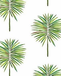 CAT COQUILLETTE FUN FRONDS PEEL  STICK WALLPAPER by  Roommates 