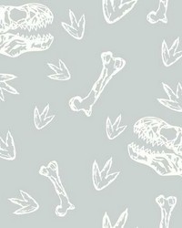 DINOSAUR BONES PEEL  STICK WALLPAPER by  Roommates 