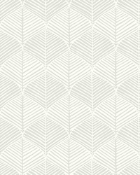 Palm Thatch Wallpaper White Gray by   
