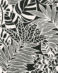 Jungle Leaves Wallpaper Black White by   