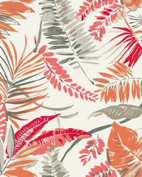 Tropical Toss Wallpaper Coral Beige by   