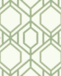 Sawgrass Trellis Wallpaper Green by   