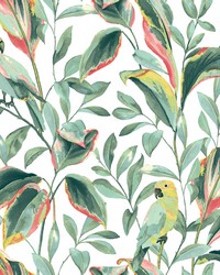 Tropical Love Birds Wallpaper White Coral by   