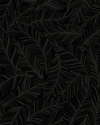 Rainforest Canopy Wallpaper Black by   