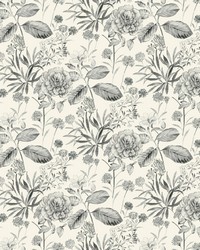 Midsummer Floral Wallpaper Gray by  York Wallcovering 