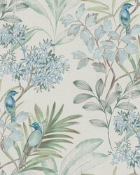 Handpainted Songbird Wallpaper Turquiose by  York Wallcovering 