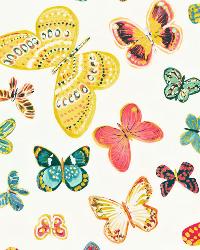 Butterfly Multi by  Schumacher Fabric 