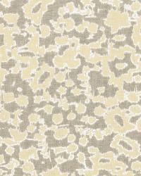 Rain Dance Stone by  Schumacher Fabric 