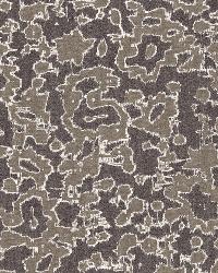 Rain Dance Charcoal by  Schumacher Fabric 