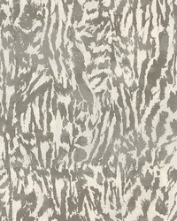 Feline Stone by  Schumacher Fabric 