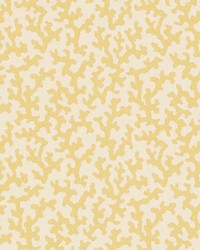 Folly Straw by  Schumacher Fabric 