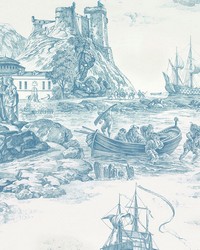 Marine Toile Delft by  Schumacher Fabric 