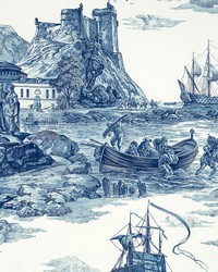 Marine Toile Indigo by  Schumacher Fabric 