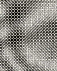 Serendipity Black  Taupe by  Schumacher Fabric 