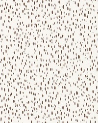 Duma Charcoal by  Schumacher Fabric 