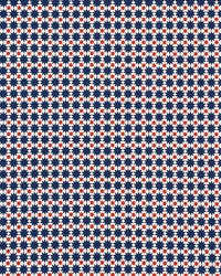 Cosmos Ii Navy & Red by  Schumacher Fabric 