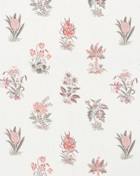 Bunny Rose by  Schumacher Fabric 